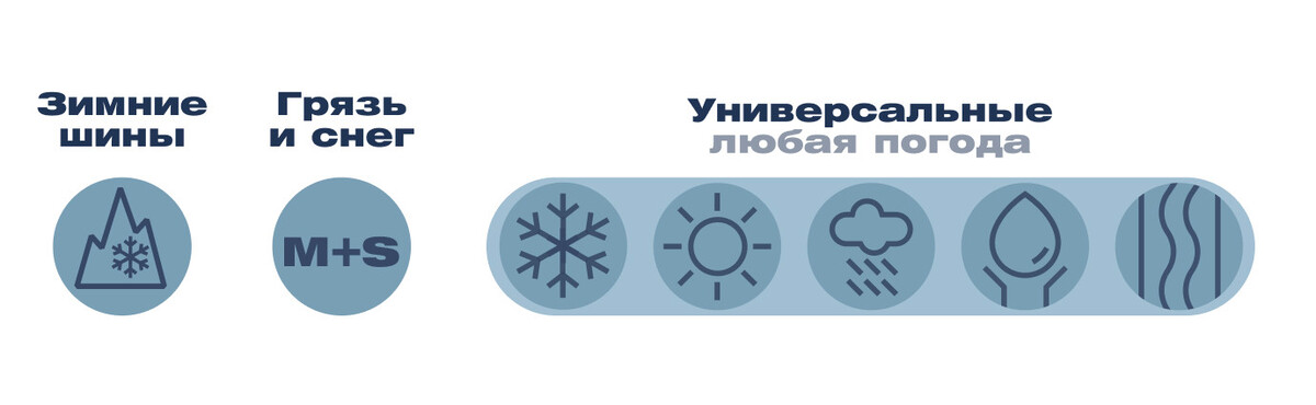 шины